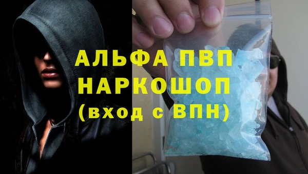 ГАЛЛЮЦИНОГЕННЫЕ ГРИБЫ Магас