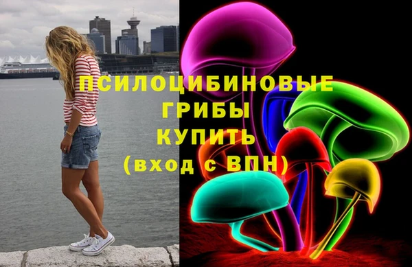 ешки Алексин