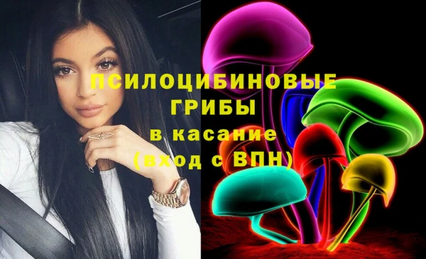 ешки Алексин