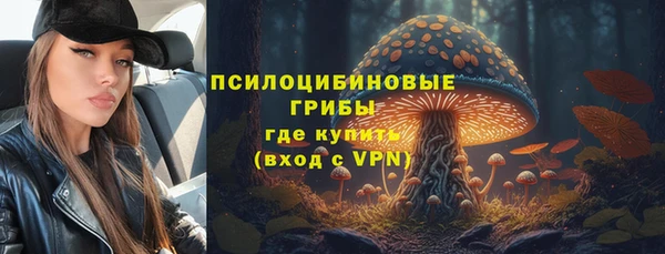 ешки Алексин