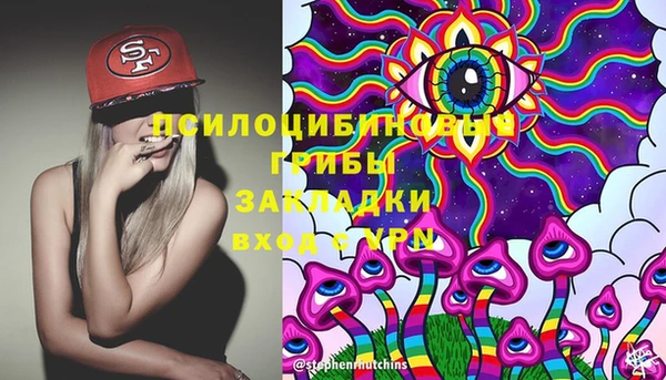 не бодяженный Алзамай