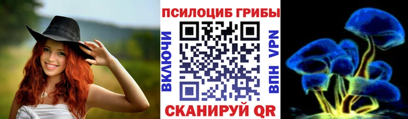 Купить Задонск Галлюциногенные грибы GOLDEN TEACHER